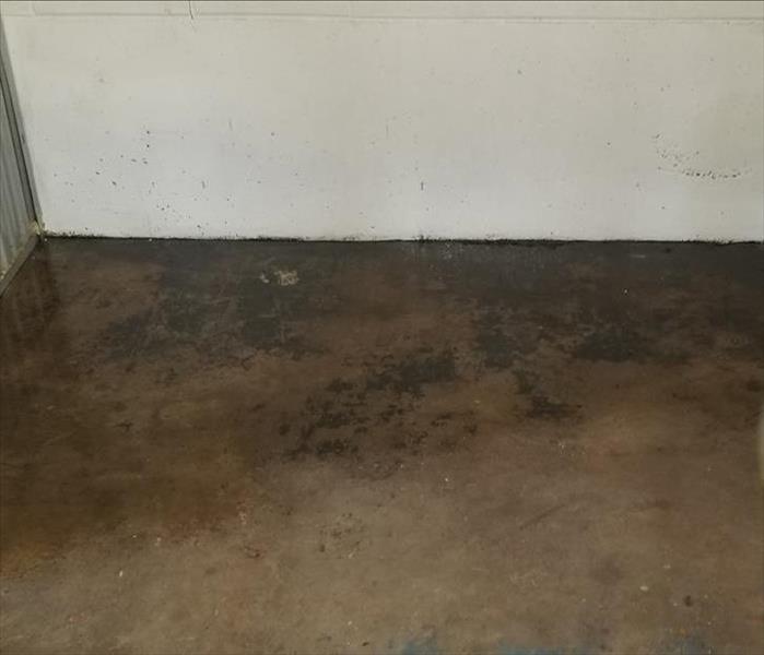 This is a photo of concrete flooring with mold on it. 