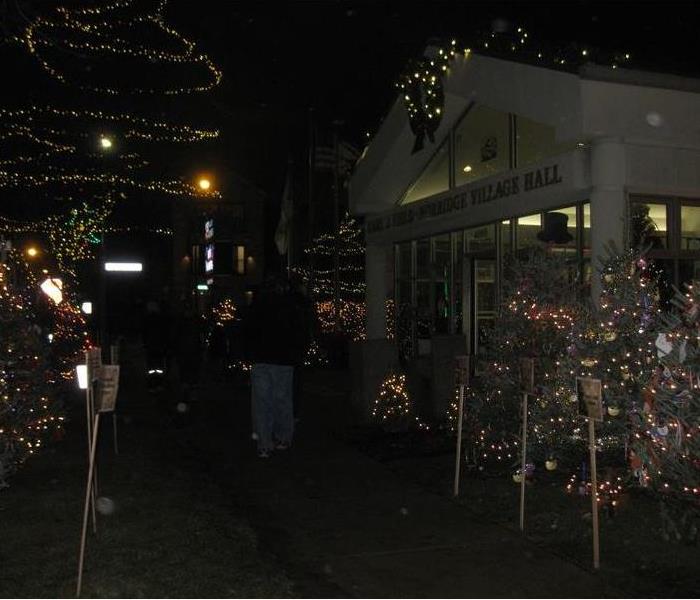 This is a photo of Christmas Trees in Norridge.